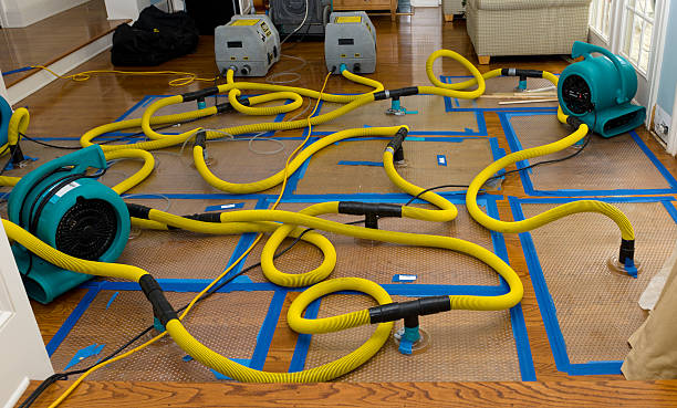 Professional Water Extraction technician working in Pandora, TX